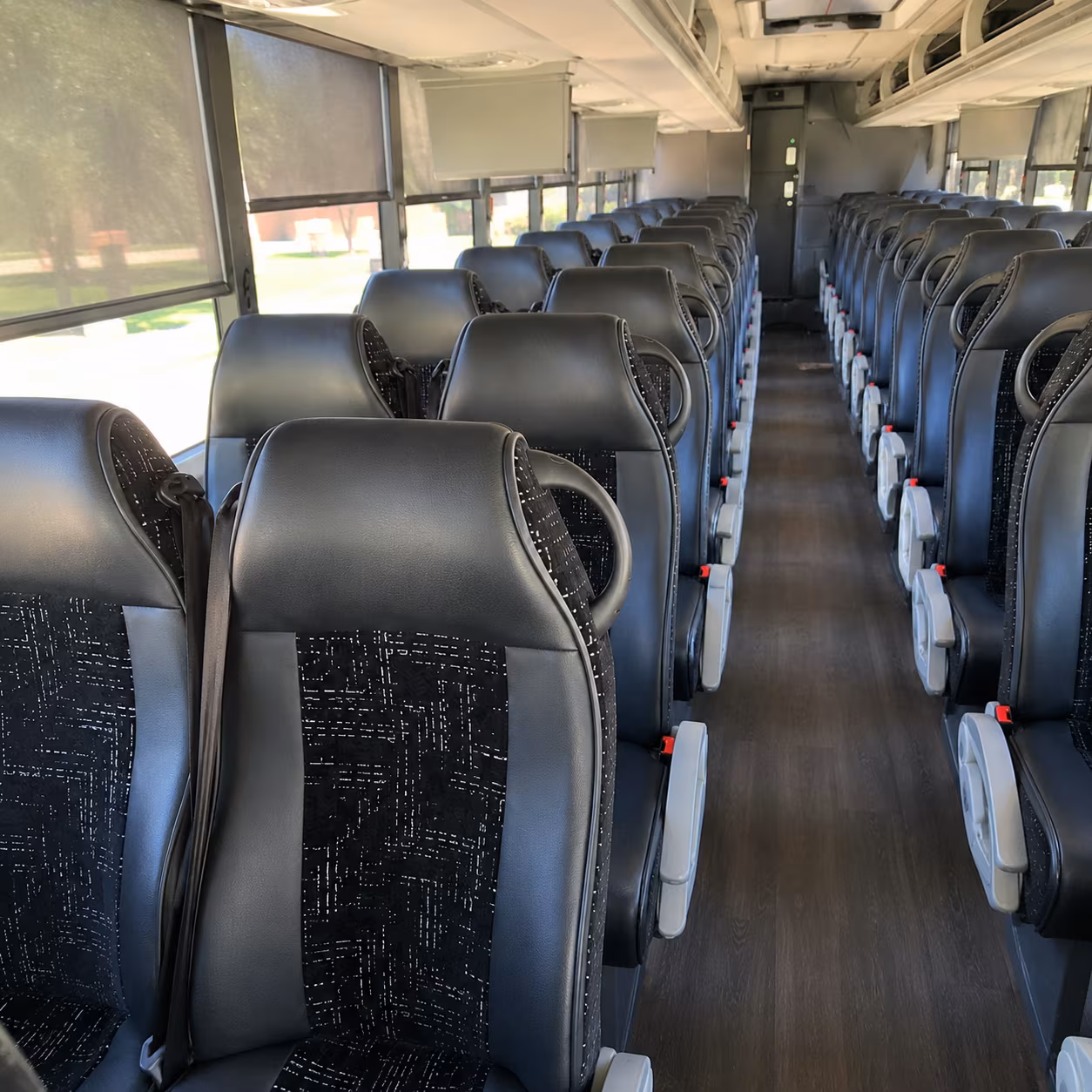 take your class to eccles dinosaur park without the carpool chaos